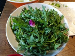 茼蒿-刘一锅筋头巴脑(小北店)