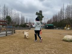 -前小桔亲子创意农场·草莓采摘·露营烧烤