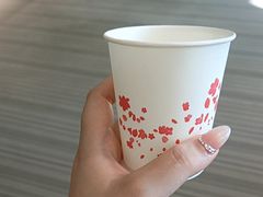 -汉口江滩-江滩观星台