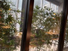 -金成潮菜博物馆(海珠湿地店)