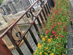 -华谊兄弟（长沙）电影小镇