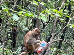 -黔灵山公园-南门售票处