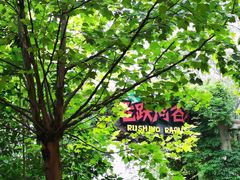 -济南方特东方神画
