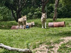 -常州淹城野生动物世界