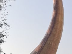 -森波拉奇妙世界