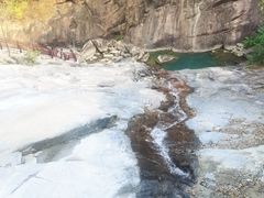 -广州白江湖森林公园