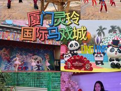 -灵玲国际马戏城