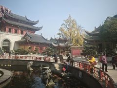 -上海东林寺(金山区)
