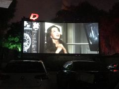 -枫花园汽车电影院(朝阳公园店)