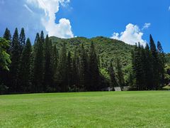 -深圳仙湖植物园