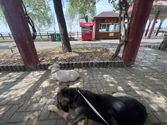 -嬉子湖生态旅游区