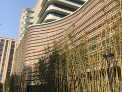 -上海市徐汇区口腔医院