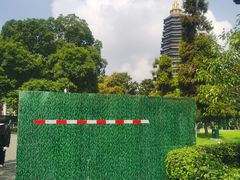 -红梅公园