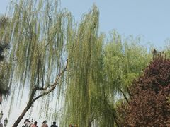 -西安青龙寺遗址景区