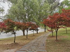 -同济大学(嘉定校区)