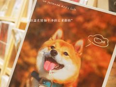 -猫的天空之城概念书店(苏州平江店)