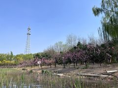 -大兴滨河森林公园