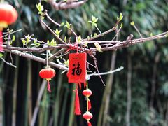 -个园