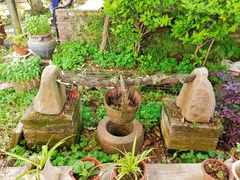 -金山嘴渔村