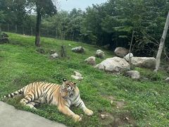 -西安秦岭野生动物园