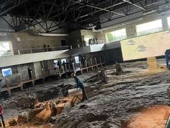 -自贡恐龙博物馆