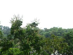 -张坝桂圆林公园