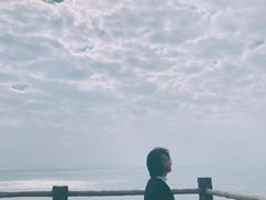 -广东惠东海龟国家级自然保护区