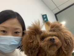 -中农大我爱我爱动物医院·核磁CT·猫病·24小时夜诊中心(石佛营店)