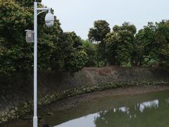-长洲岛