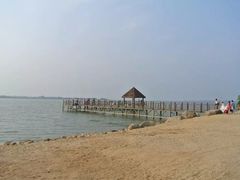 瑶湖郊野森林公园-瑶湖郊野森林公园