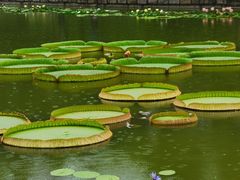 -国家植物园南园