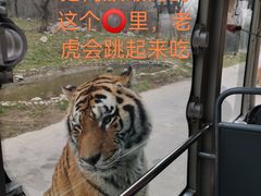 -西安秦岭野生动物园