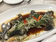 -寻味顺德·南记酒家·传统顺德菜·鱼生(广源路店)