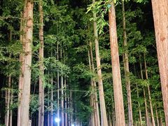 -上海怡沁园度假酒店