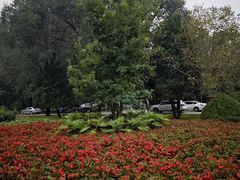 -秦皇岛野生动物园