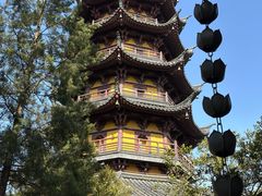 -灵岩山风景区