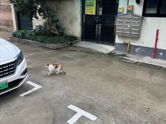 -上海蔡元培故居陈列馆