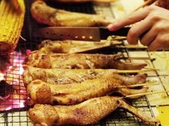 -西涌国际滨海旅游区