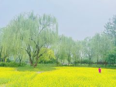 -北坞公园