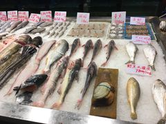 -莆鑫海鲜城(浏河店)