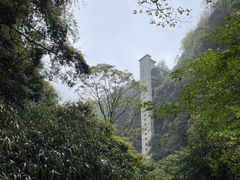 -碧峰峡风景区