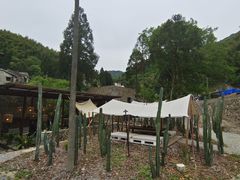 -MOJ coffee(瓯海泽雅水碓坑店)