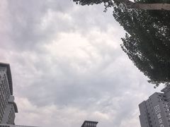 -盛京大奥莱(沈阳奥体店)
