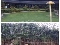 -三江森林温泉度假区