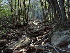 -午潮山国家森林公园