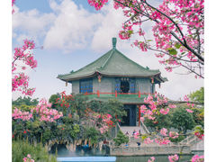-宝墨园景区