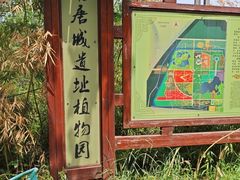 -洛阳市隋唐城遗址植物园