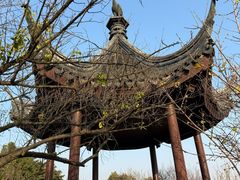 -香雪海