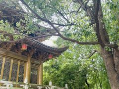 -上海东林寺(金山区)