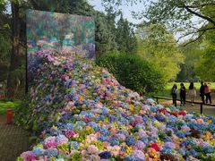 -上海共青森林公园